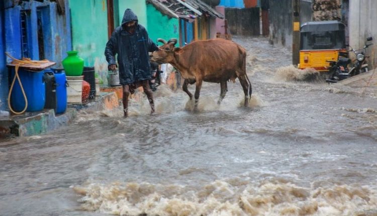 Cyclone Fengal Update, Tamilnadu, Puducherry, Cyclone Fengal, Villupuram, Cuddalore, Puducherry CM N Rangaswamy, Fengal Cyclone news, tamilnadu news update, Puducherry news in hindi, Education Minister A. Namchivayam, तमिलनाडु, पुडुचेरी, फेंगल चक्रवात, पुडुचेरी मुख्यमंत्री एन रंगास्वामी, पुडुचेरी शिक्षा मंत्री ए. नामचिवायम, विल्लुपुरम, कुड्डालोर